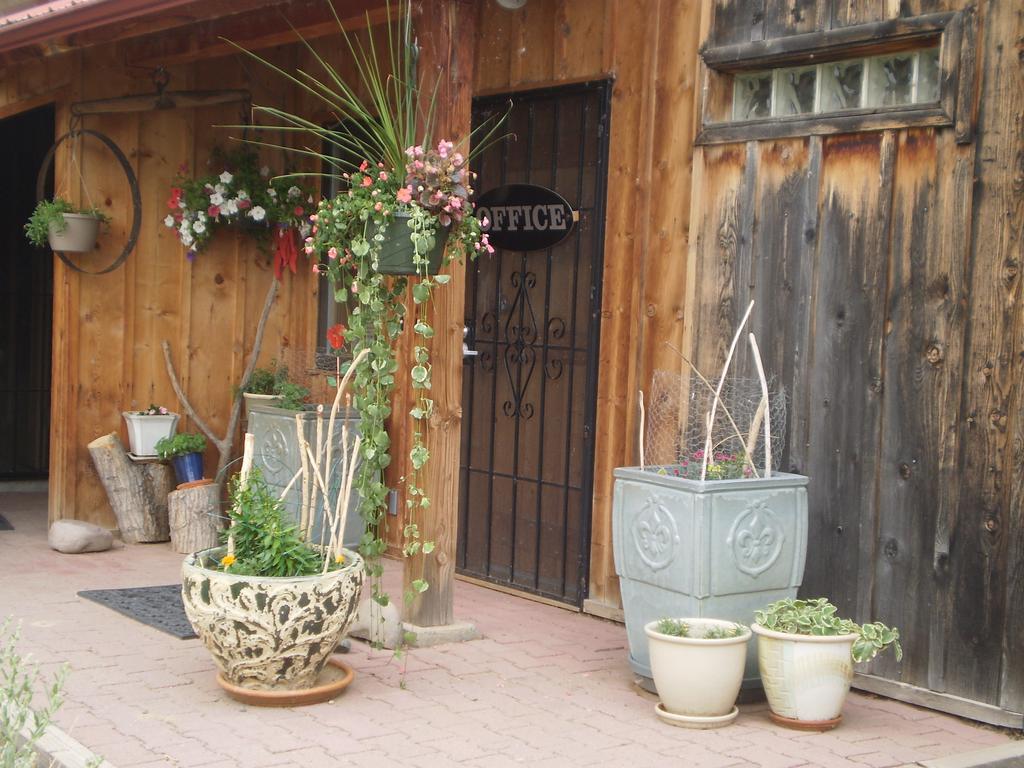 Silver River Adobe Inn Bed And Breakfast Фармингтон Экстерьер фото
